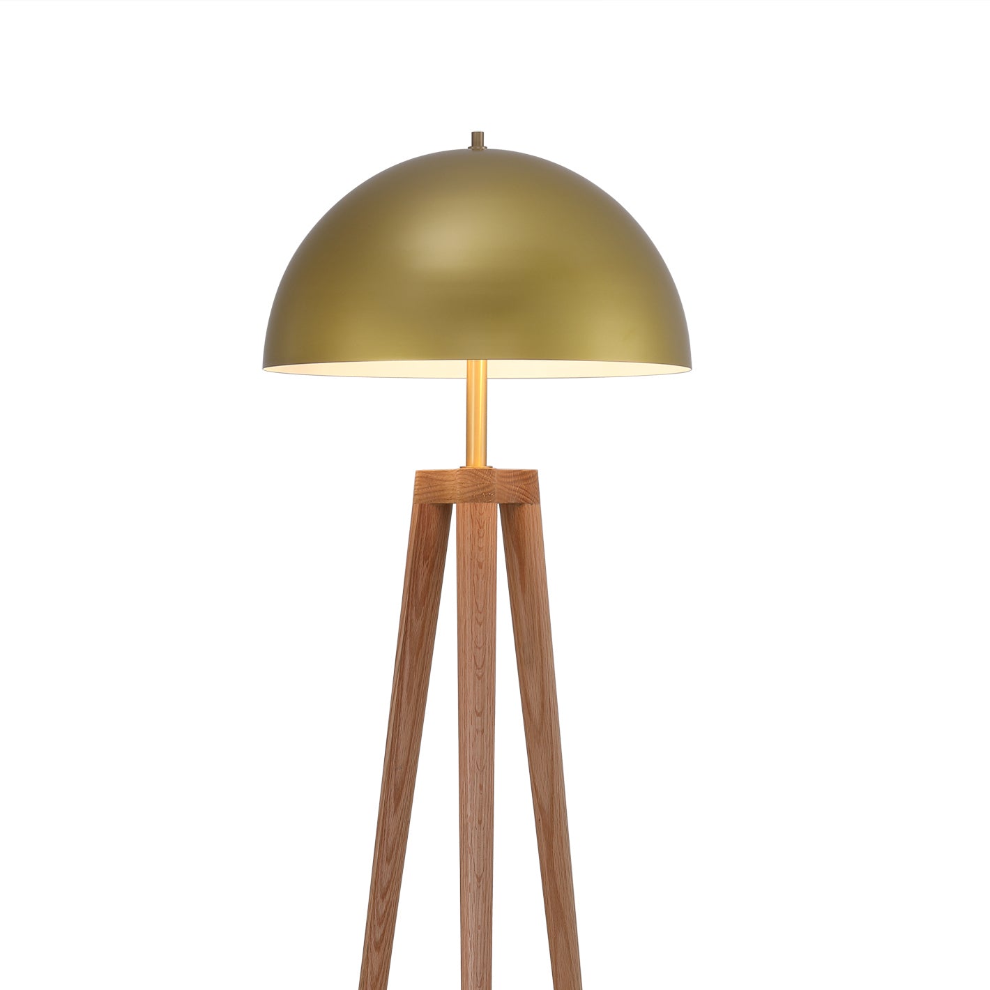 France & Son, Brass Dome Roche Floor Lamp