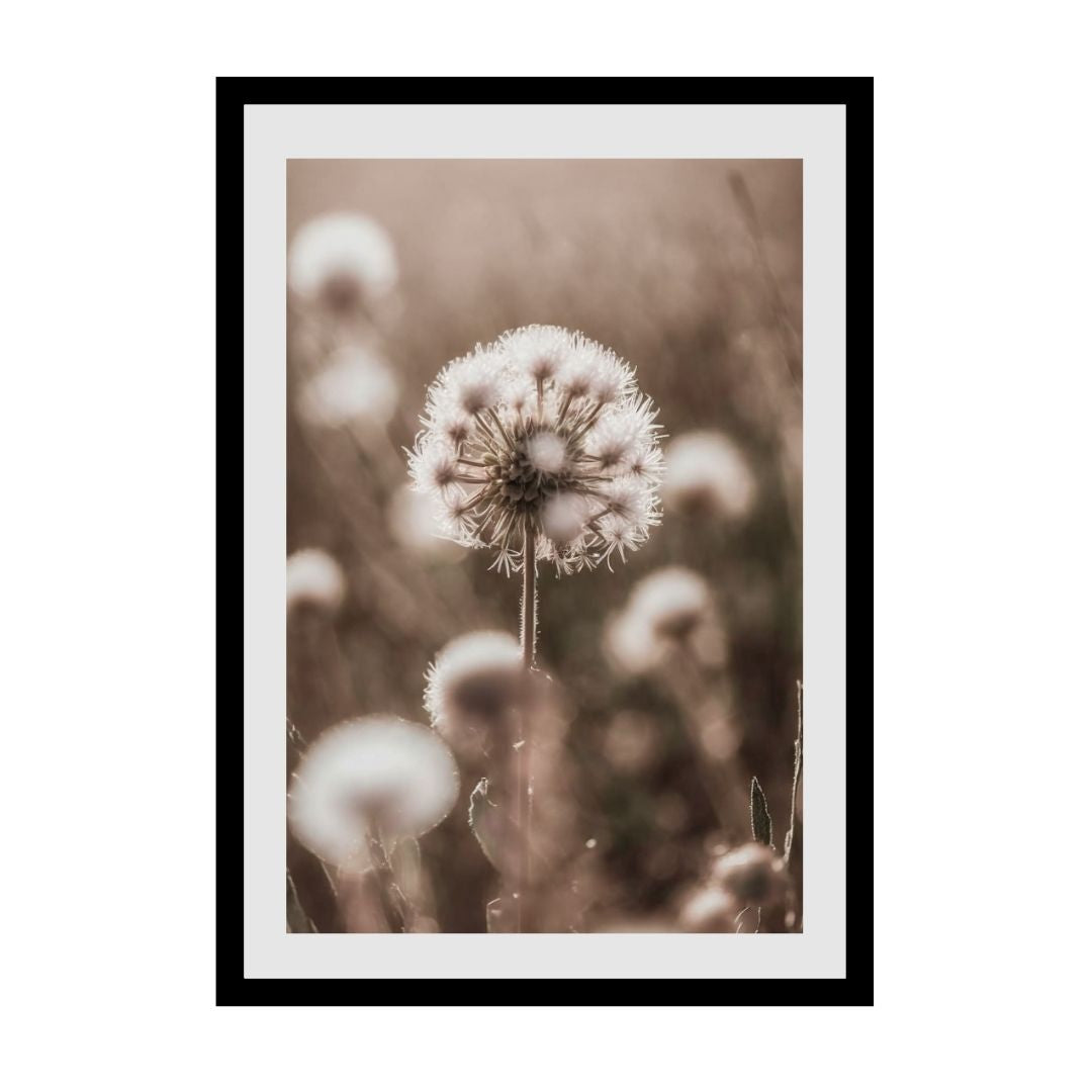 FASart, Delicate Dandelions