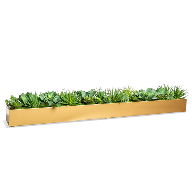 Gold Leaf Design Group, Desert Echeveria in Rectangle Planter