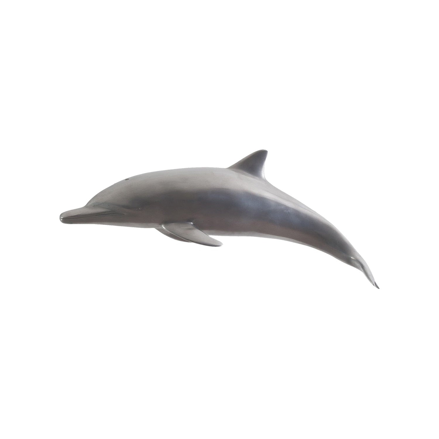 Phillips Collection, Dolphin