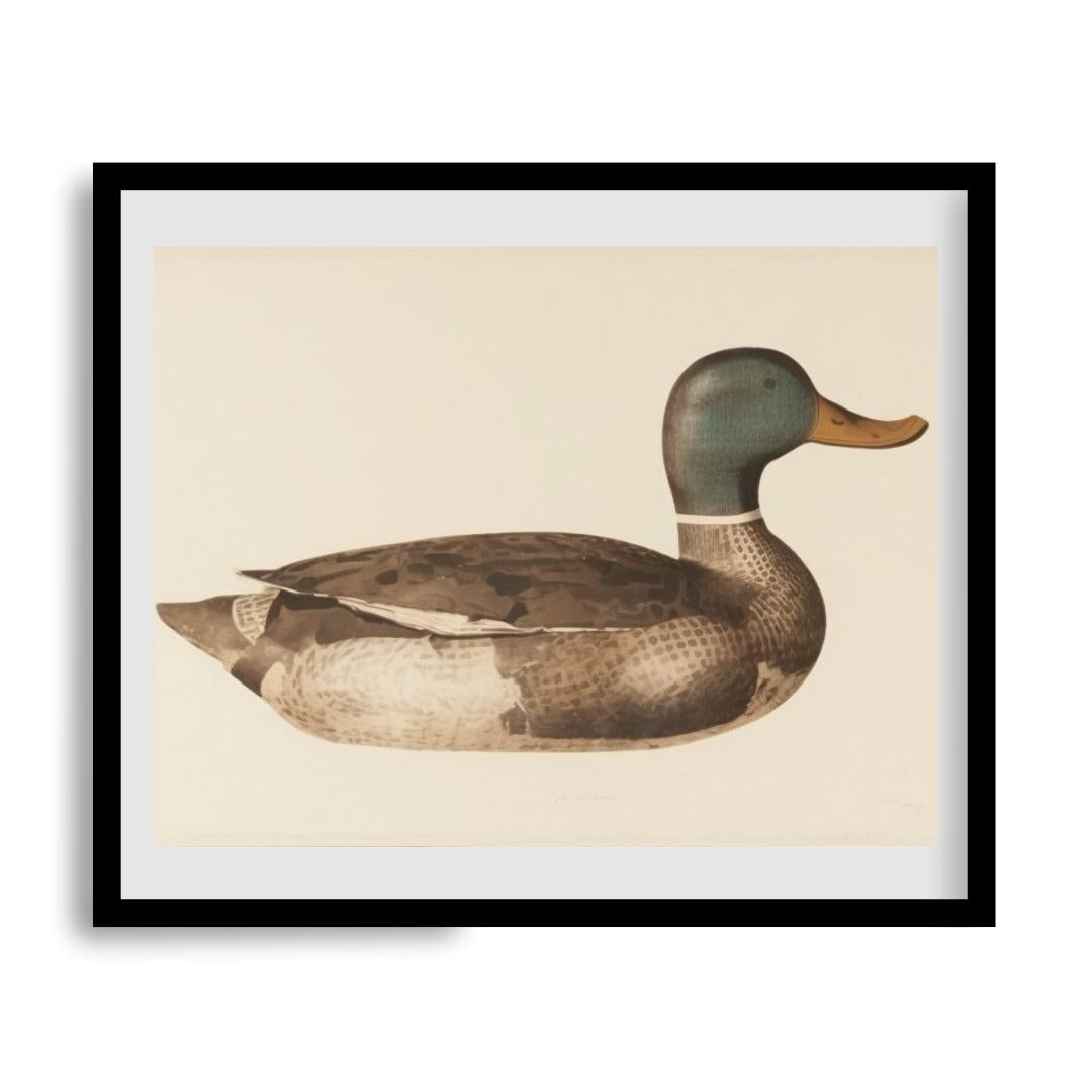 FASart, Duck Serenade - Limited Edition Print