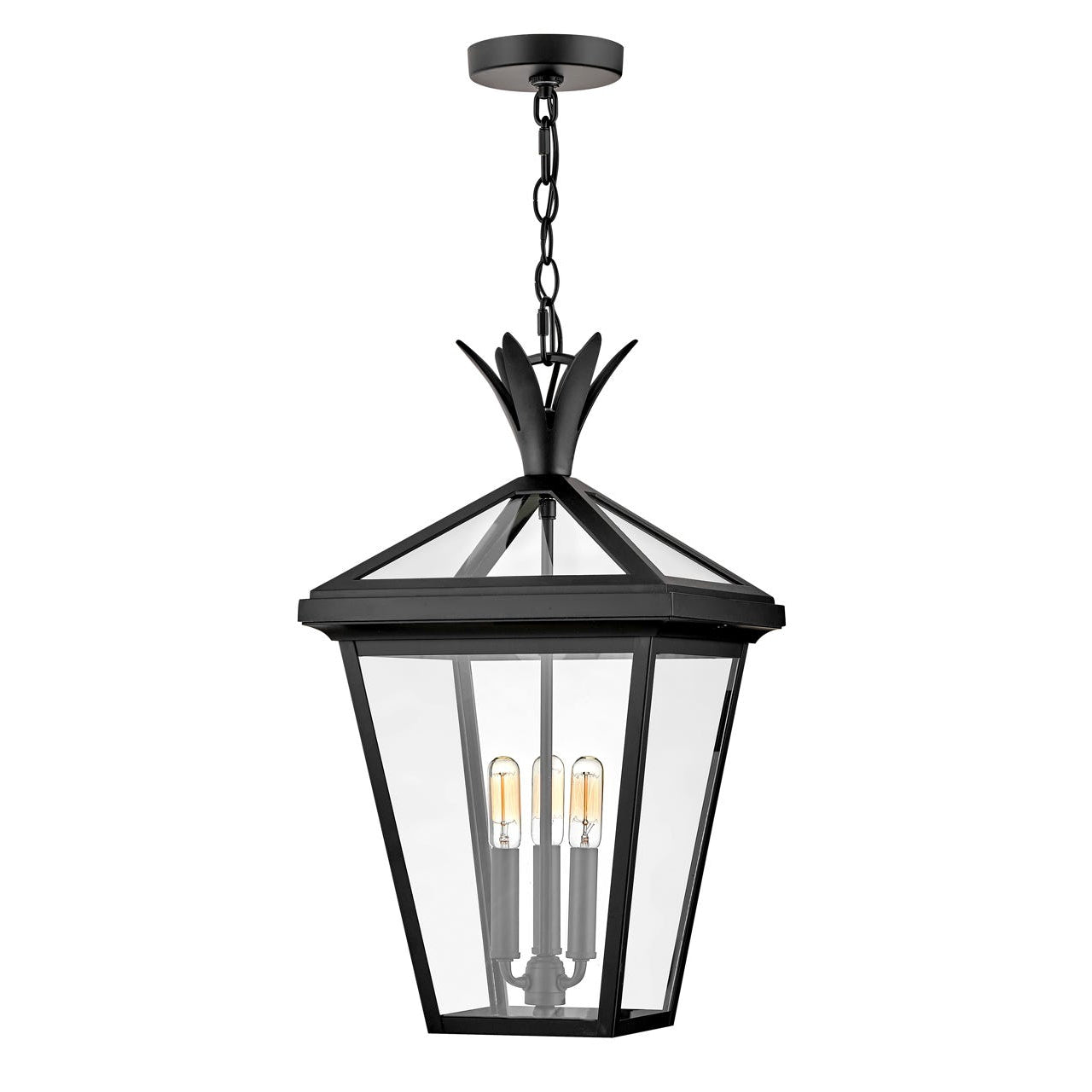 Hinkley Lighting, Outdoor Palma - Large Hanging Lantern