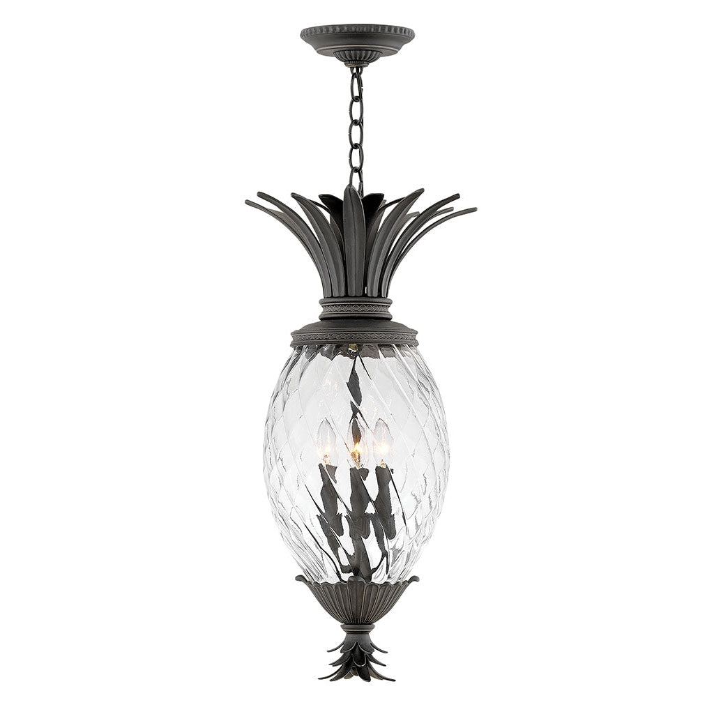 Hinkley Lighting, Outdoor Plantation - Large Hanging Lantern