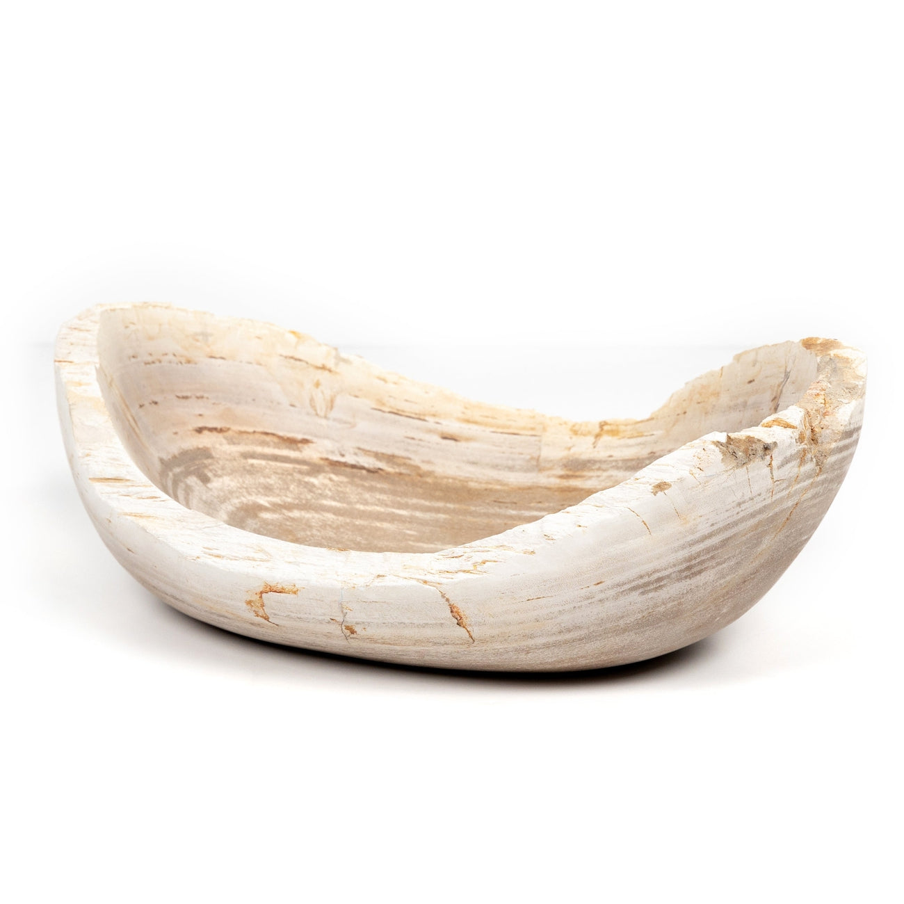 Four Hands, Oval Petrified Wood Bowl-Petrified Wood