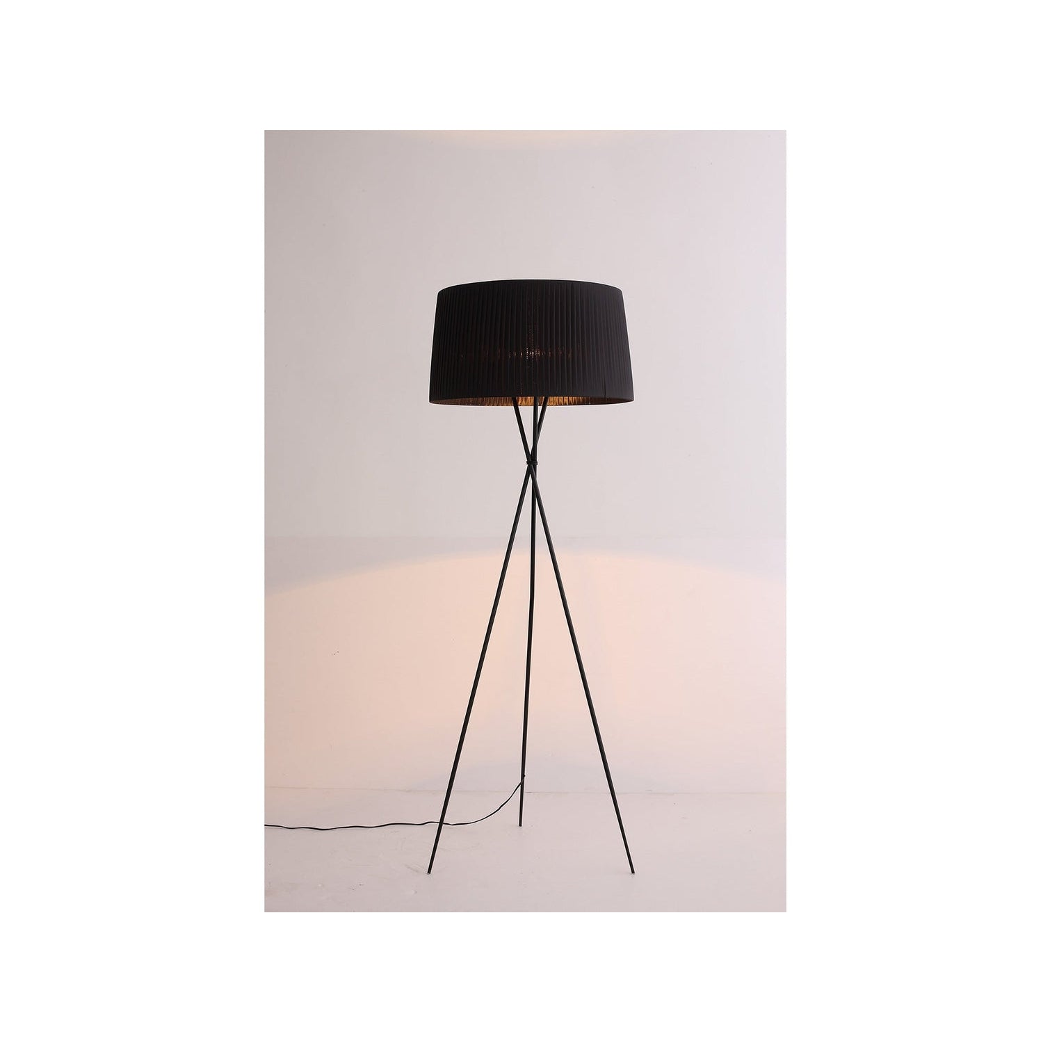 Whiteline Modern Living, Paige Floor Lamp