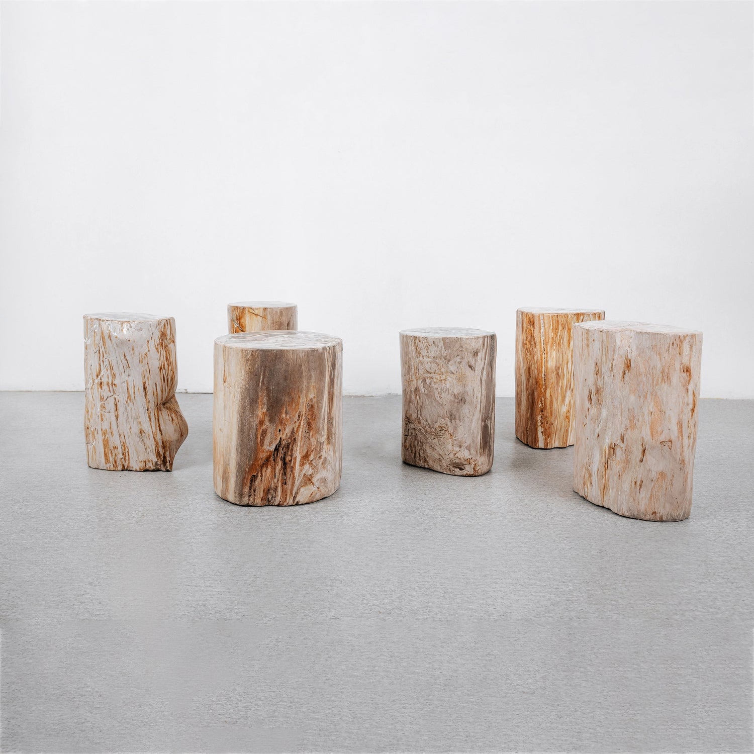 France & Son, Petrified Wood Organic Modern Stump Table