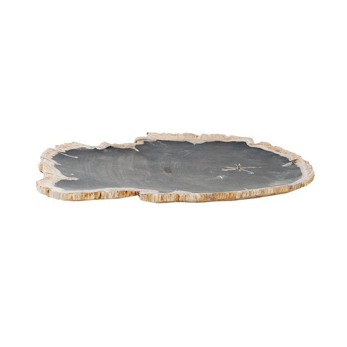 Phillips Collection, Petrified Wood Plate