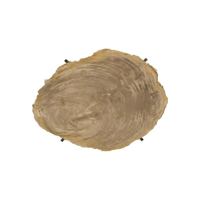 Phillips Collection, Petrified Wood Tray