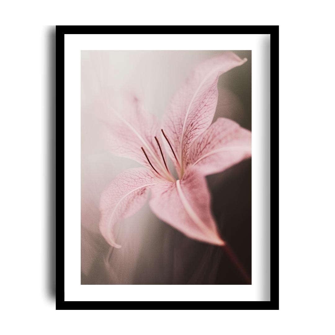 FASart, Pink Lilium Casa Blanca