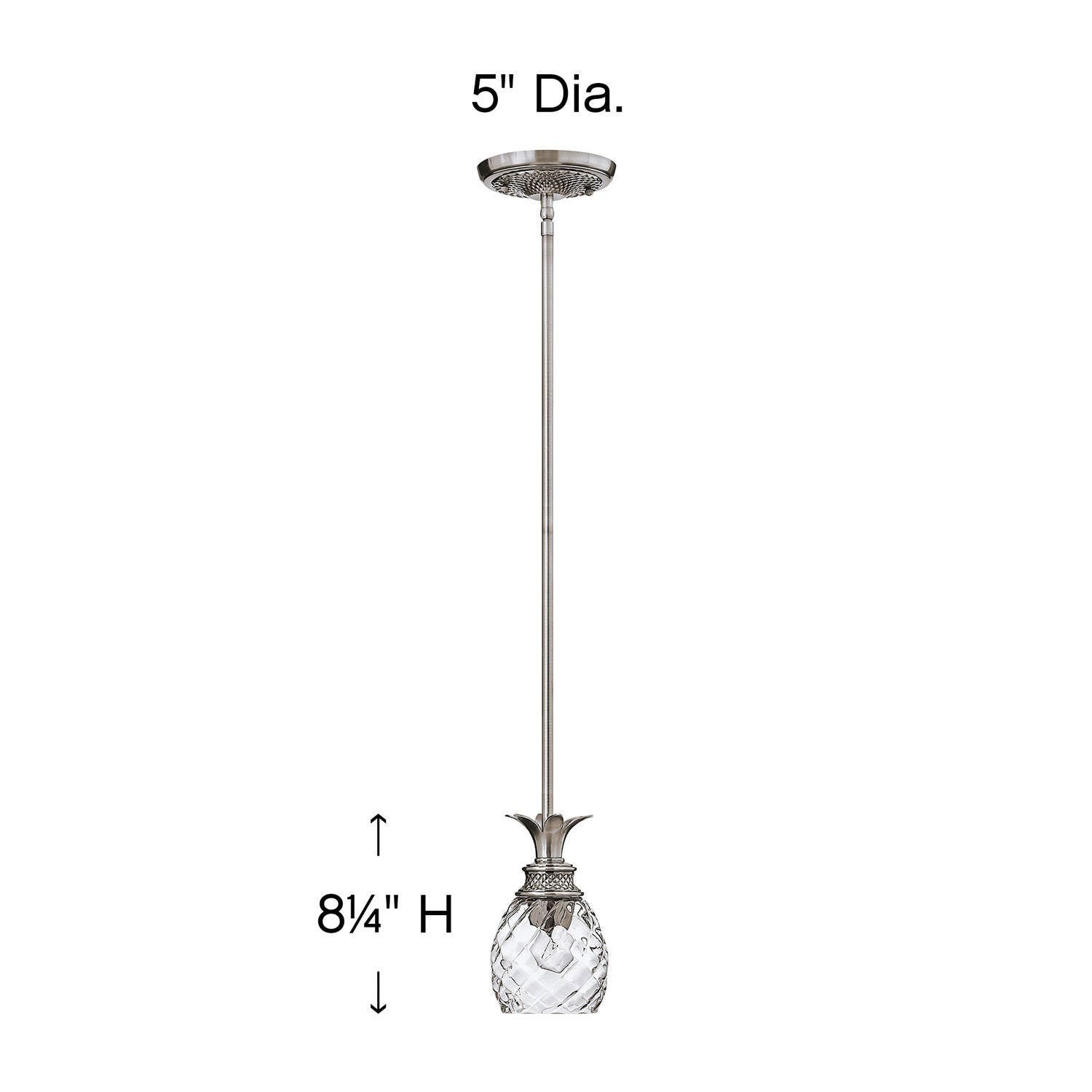 Hinkley Lighting, Plantation - Small Pendant