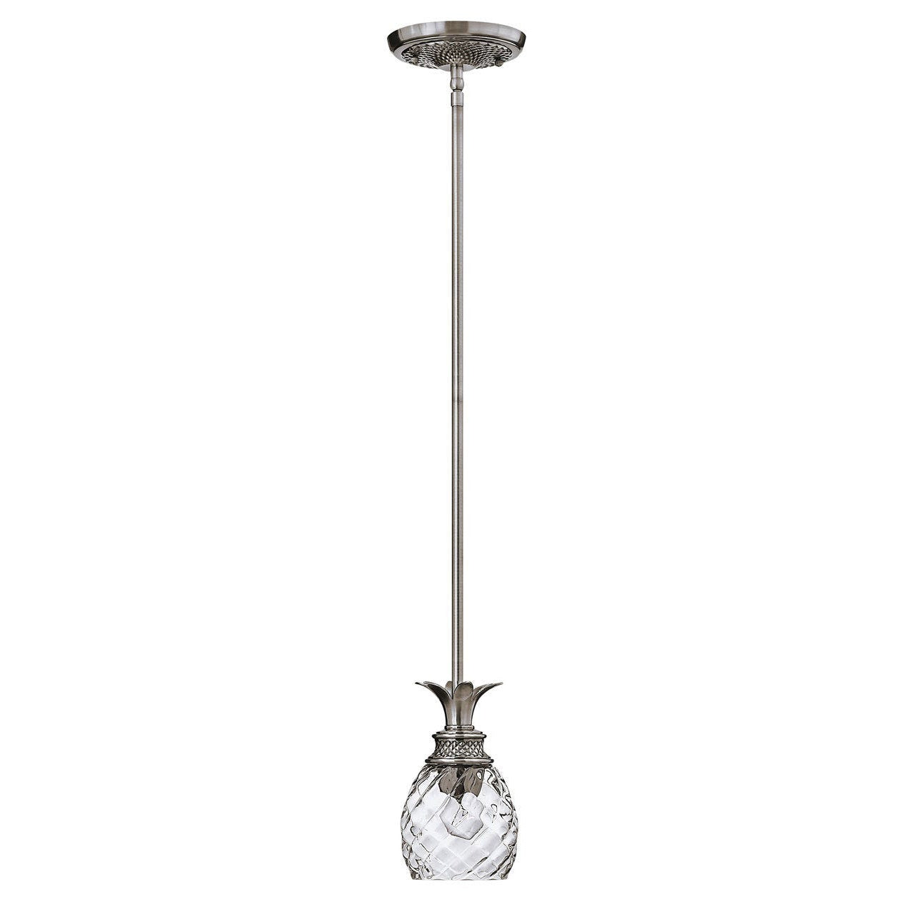 Hinkley Lighting, Plantation - Small Pendant