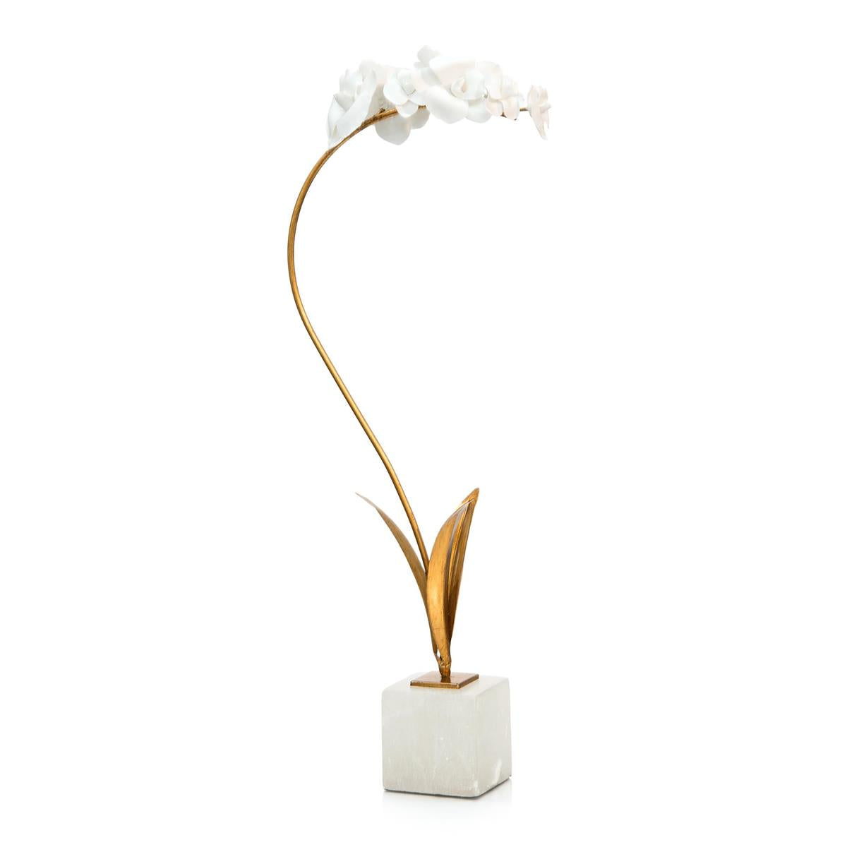 John Richard, Porcelain Orchid