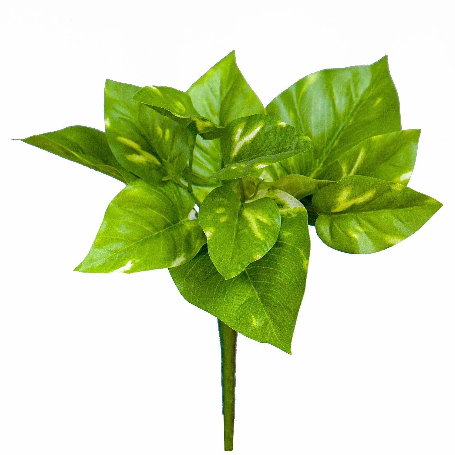 Gold Leaf Design Group, Pothos Bush - 9.25"H - Set of 12