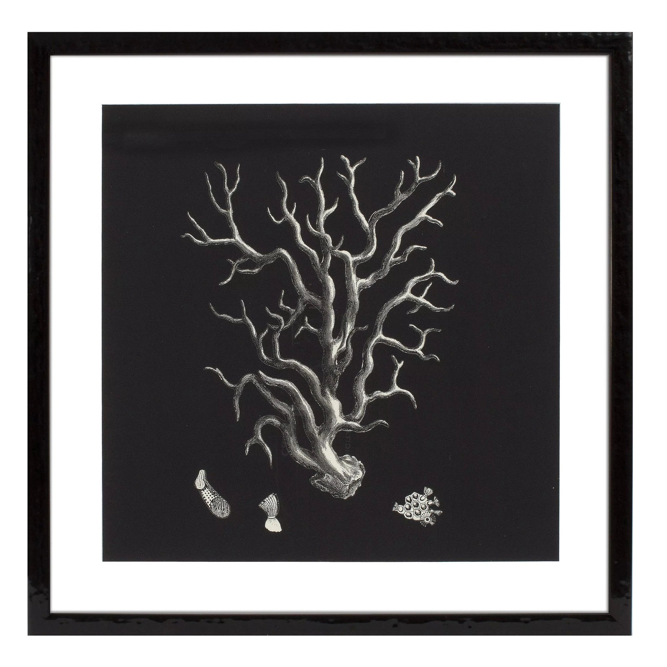 Eichholtz, Print Black & Tan Corals set of 4