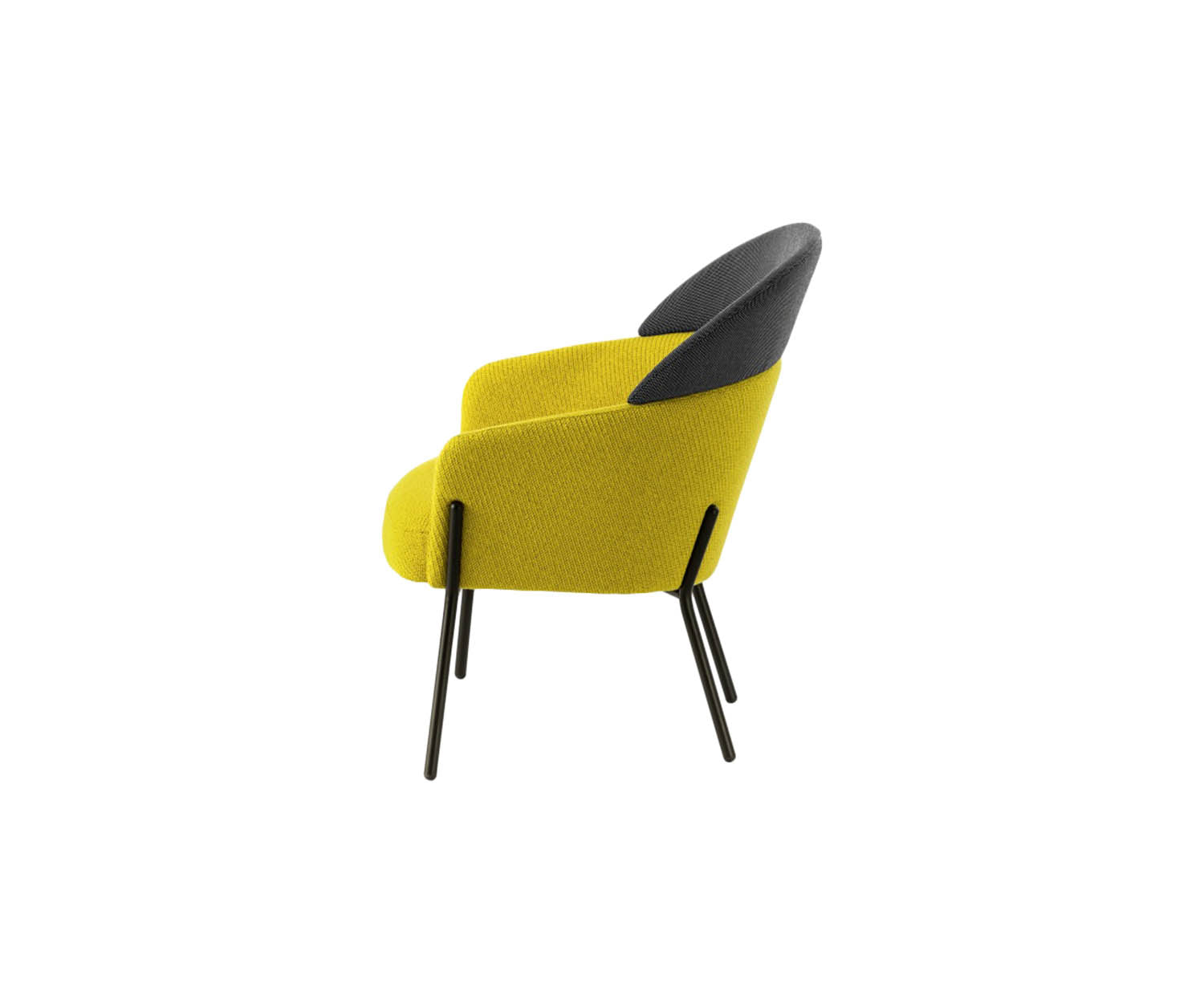 Bross Italy, Wam Armchair